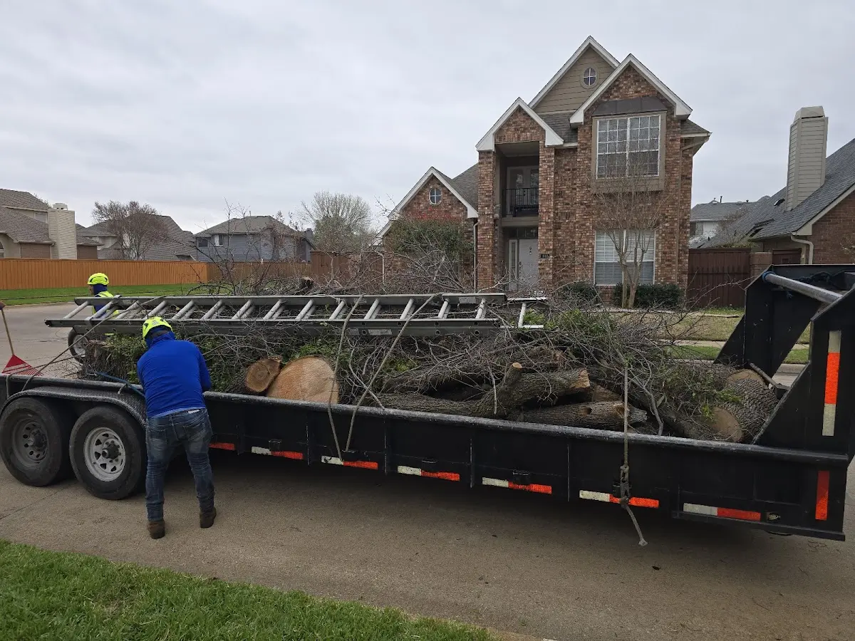 Expert Tree Fertilization with proper safety equipment in Forest Lake
